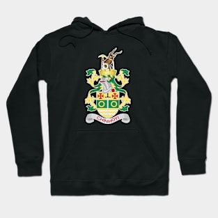 Chinhoyi Hoodie